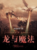 异界之龙与魔法