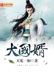 大国婿在线阅读