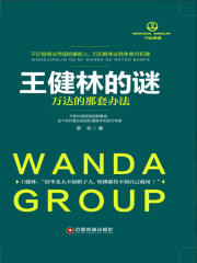 王健林的谜：万达的那套办法在线阅读