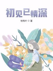 初见已情深在线阅读