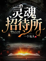 灵魂招待所在线阅读