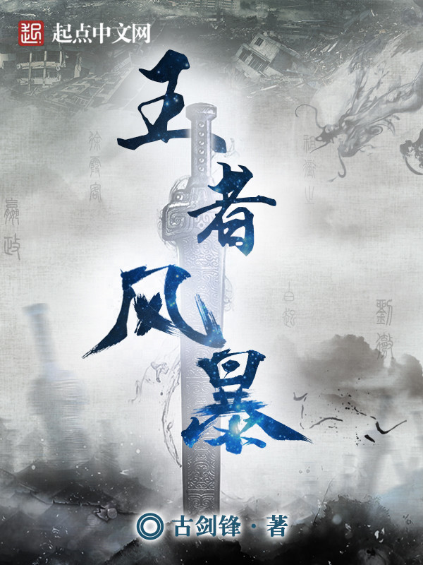 王者风暴在线阅读