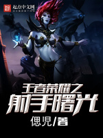 王者荣耀之射手曙光封面