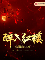 醉入红楼在线阅读
