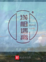 浅相遇离在线阅读