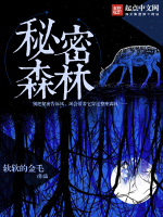 秘密的森林在线阅读
