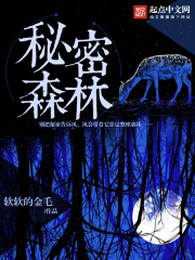 秘密的森林在线阅读