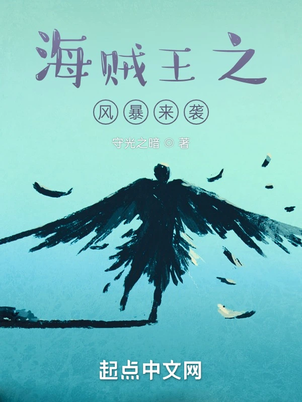 海贼王之风暴来袭