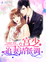 宫少追妻请低调在线阅读