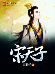 宋天子在线阅读