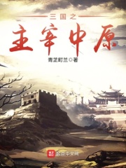 三国之主宰中原在线阅读