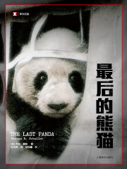 最后的熊猫在线阅读