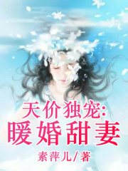 天价独宠：暖婚甜妻