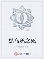 黑乌鸦之死在线阅读