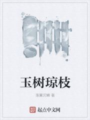 玉树琼枝在线阅读