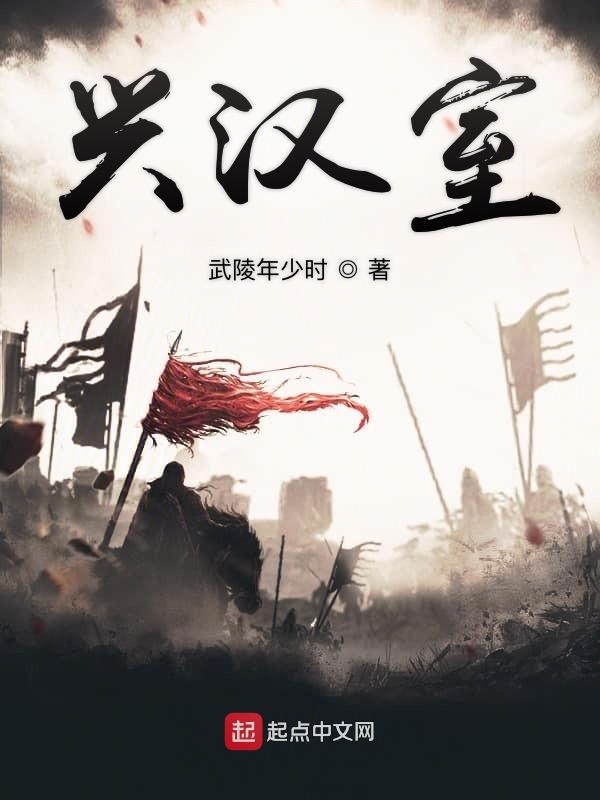 兴汉室在线阅读