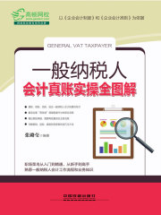 一般纳税人会计真账实操全图解