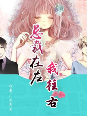 总裁在左，我往右