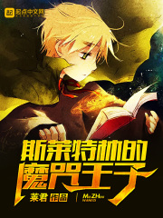 斯莱特林的魔咒王子在线阅读