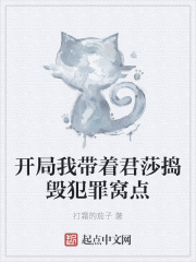 开局我带着君莎捣毁犯罪窝点