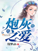 炮灰之爱在线阅读