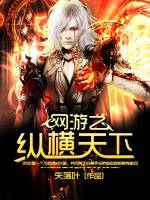 网游之纵横天下封面