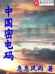 中国密电码在线阅读