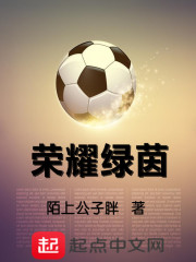 荣耀绿茵在线阅读