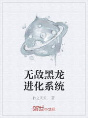 无敌黑龙进化系统