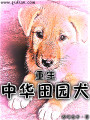 重生中华田园犬在线阅读