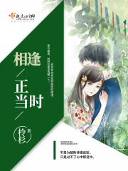 相逢正当时在线阅读
