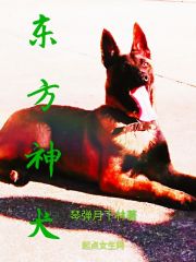 东方神犬在线阅读