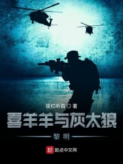 喜羊羊与灰太狼黎明在线阅读