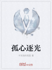 孤心逐光