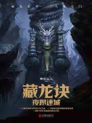 藏龙诀：夜郎迷城在线阅读