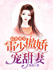 隐婚蜜爱：雷少傲娇宠甜妻