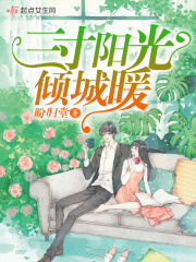 三寸阳光倾城暖在线阅读