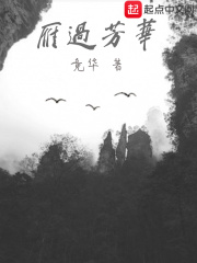 雁过芳华在线阅读