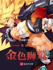 海贼之金色狮鹫在线阅读