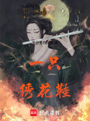 一只绣花鞋在线阅读