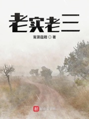 老实老三在线阅读