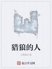 猎狼的人在线阅读