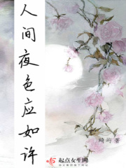 人间夜色应如许在线阅读