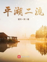 平湖二流在线阅读
