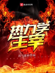 热力学主宰在线阅读