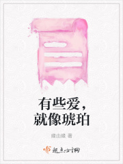 有些爱，就像琥珀在线阅读