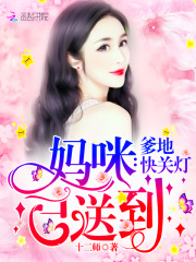 妈咪已送到，爹地快关灯在线阅读