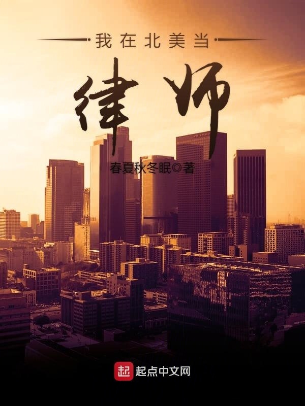我在北美当律师在线阅读