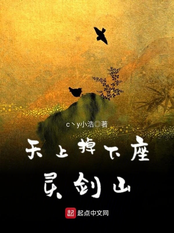 天上掉下座灵剑山在线阅读