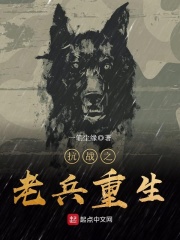 抗战之老兵重生在线阅读
